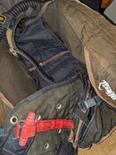 PXL_20201027_020515820.jpg