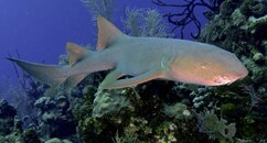 IMG_2187.jpg