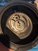 PXL_20201028_033602446.jpg