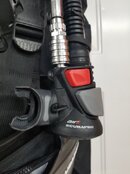 20200927_124714.jpg