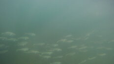 G0083094.JPG