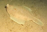 IMG_1905.jpg