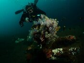 110829%u0025252520Dumaguete73.jpg