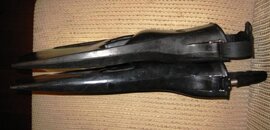 IMG_3773.jpg