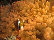 IMG_1853.jpg