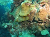 IMG_3926.jpg