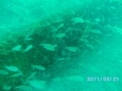 Panama City Dive Trip_1.0 023.jpg