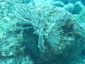 IMG_0044 Can't see me.jpg