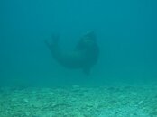 IMG_0059 Excuse me.jpg