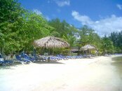 IMG01852-20110909-1140.jpg