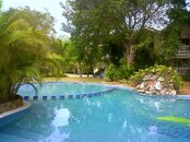 IMG01864-20110909-1149.jpg