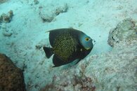 IMG_0432.jpg