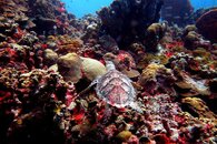 IMG_0474.jpg