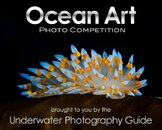 Ocean Art logo.jpg
