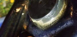 20201220_203027.jpg