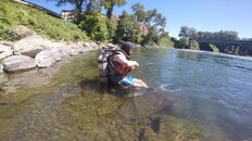 Salmon In Trouble, Clackamas River at High Rocks, 7-2-2015.jpg