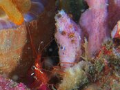 thing 2011 09 11 01.jpg