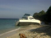 IMG00184-20110804-0850.jpg