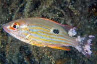 IMG_7939wa.jpg