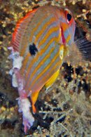 IMG_7942wa.jpg