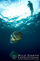 SOL_Solomon Islands © Thomas Baechtold 015.jpg