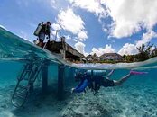 cobalt coast jetty - tiago Peixoto - Reef Divers 3-4.jpg
