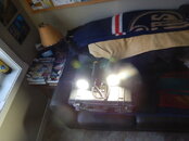 250 watt hid.JPG