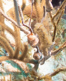 _2090656.jpg