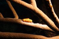 8A2293C0-EF40-4EFA-9DAE-60408FA9DFAD.jpeg