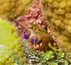 Unknown animal close up.jpg