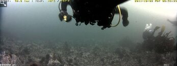 RaceRocksUnderwaterCamera_2011-10-02_085322.jpg