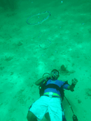 ajh-bubble-ring.gif