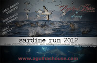 Sardine Run ad 2012.jpg