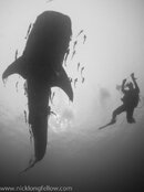 IMG_5836.jpg