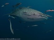 IMG_5838.jpg