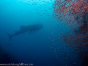 IMG_5788.jpg