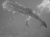 IMG_5800.jpg