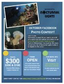 Photo Contest Flyer.jpg