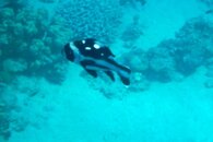 P1010147-1.jpg