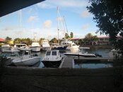 IMG_1334.jpg