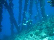 IMG_1502.jpg