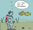 nude_scubadivinghigh.jpg