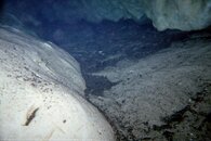 IMG011.jpg