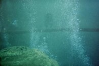 IMG017.jpg