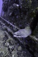 Curacao 101211 036.jpg