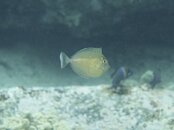 DSC08517 2.JPG