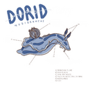 Dorid Anatomy Colour (1).png