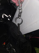ring bungee.jpg