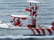 IMG_1274.jpg