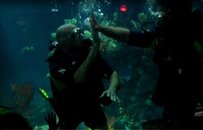 High five in tank.jpg